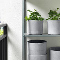 BOYSENBÄR Plant pot, in/outdoor light grey, 15 cm