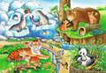 Ravensburger Children's Puzzle Animals in the Zoo 2x 12pcs 3+