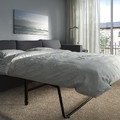 VIMLE 3-seat sofa-bed, Hallarp grey