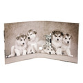 Lever Arch File A4 7cm, dogs