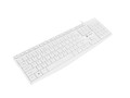 Natec Wired Keyboard Nautilus US Slim, white