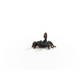 Schleich Imperial Scorpion 3+