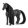 Schleich Beauty Horse Criollo Definitivo Mare 4+