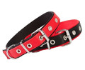 Dingo Dog Collar 2.5cm/65cm, black-red