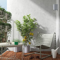 SKOGSÖN Easy chair, light grey outdoor