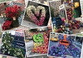 Ravensburger Jigsaw Puzzle 2D NYC Flash of Flowers 1000pcs 14+