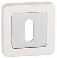 Metalbud Door Escutcheon, satin silver