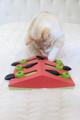 Nina Ottosson Melon Madness Puzzle & Play Cat Game