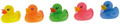Lena Bath Toy Racing Ducks Display 36pcs 6m+
