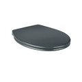 Cooke & Lewis Duroplast Soft-close Toilet Seat Diani, grey