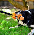 Dingo Dog Toy Bungee Tug Toy with Mop and Ball, 1pc, orange