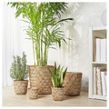 KLYNNON Plant pot, handmade bamboo, 9 cm