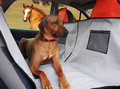 Kardiff Activ Dog Car Seat Cover with Zipper, Size L, black-red