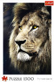 Trefl Jigsaw Puzzle Lion Portrait 1500pcs 12+