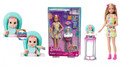 Barbie Skipper Babysitters Inc & Playset HTK35 3+