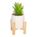 Artificial Plant Succulent, boho, light green