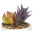 Artificial Plant Succulent, boho, colour