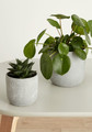 Ceramic Plant Pot GoodHome 12 cm, spotted