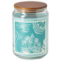 BUKETTAPEL Scented cndl in glass w lid/2 wicks, bergamot & cedarwood/pale green, 100 hr