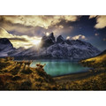 Heye Jigsaw Puzzle Guanacos 1000pcs 12+