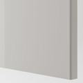 FARDAL Door with hinges, high-gloss light grey, 50x229 cm
