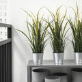 FEJKA Artificial potted plant, in/outdoor decoration, grass, 9 cm