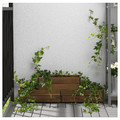 STJÄRNANIS Flower box, outdoor acacia, 43x15 cm