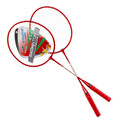 Badminton Set 14+