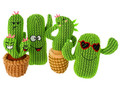 Dingo Dog Toy Cactus Familia 20cm