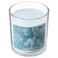 BUKETTAPEL Scented candle in glass, bergamot & cedarwood/pale green, 45 hr