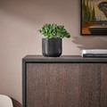 GRADVIS Plant pot, indoor/outdoor black, 12 cm