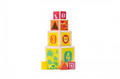 iWood Wooden Shape Sorter Cubes 12m+