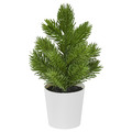 VINTERFINT Artificial potted plant, in/outdoor Christmas tree/green, 6 cm