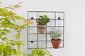 Verve Plant Pot Wall Holder 12cm 2pcs, black