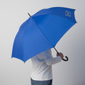 AURTIENDE Umbrella, blue