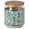 JÄMTSKOGEN Scented cndl in glass w lid/2 wicks, cypress & eucalyptus/dark green, 70 hr