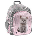 School Backpack 29x38x16 Kitten