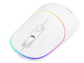 Tracer Optical Wireless Mouse Ratero RF 2.4 Ghz, white