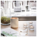 SILKESTRÄD Scented candle in ceramic jar, dew & moss/off-white, 45 hr