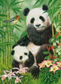 Castorland Jigsaw Puzzle Panda Brunch 300pcs 8+