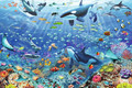 Ravensburger Jigsaw Puzzle Underwater World 3000pcs 14+