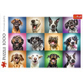 Trefl Jigsaw Puzzle Funny Dog Portraits 1000pcs 12+