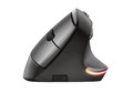 Trust Optical Wireless Mouse Ergonomic, black