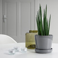 CITRUSFRUKT Plant pot with saucer, in/outdoor grey, 12 cm