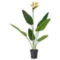 FEJKA Artificial potted plant, in/outdoor Bird of paradise, 19 cm