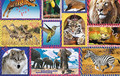 Trefl Jigsaw Puzzle Wild Nature 1000pcs 12+