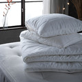ÄNGSKORN Pillow protector, 50x60 cm