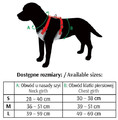 Dingo Anti-Pressure Dog Harness 2-Belts Adjustment L, red