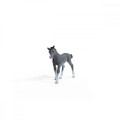 Schleich Trakehner Foal 5+