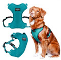 CHABA Dog Harness Guard Comfort Classic L, sea